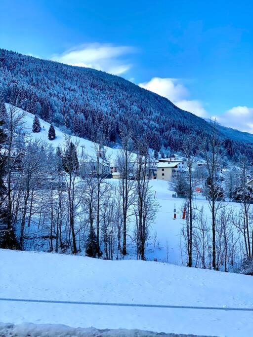 Charmant Appartement Au Pied Des Pistes De Lélex エクステリア 写真