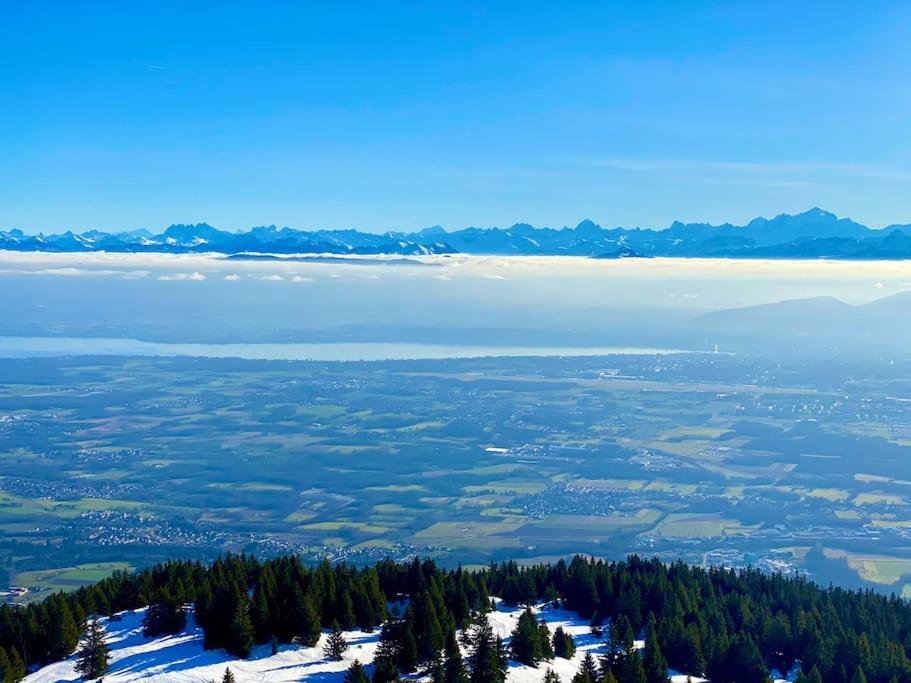 Charmant Appartement Au Pied Des Pistes De Lélex エクステリア 写真