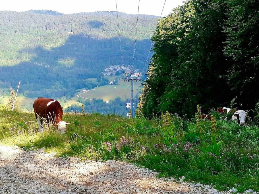 Charmant Appartement Au Pied Des Pistes De Lélex エクステリア 写真