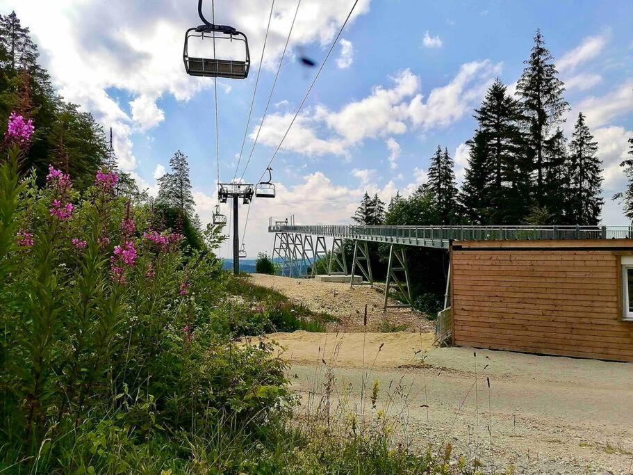 Charmant Appartement Au Pied Des Pistes De Lélex エクステリア 写真