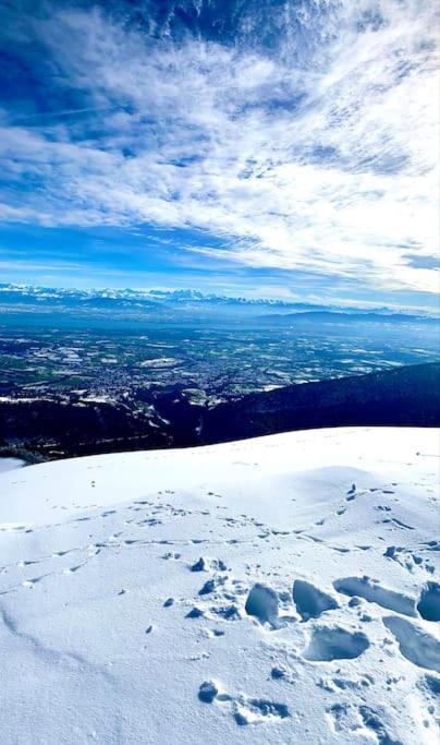 Charmant Appartement Au Pied Des Pistes De Lélex エクステリア 写真